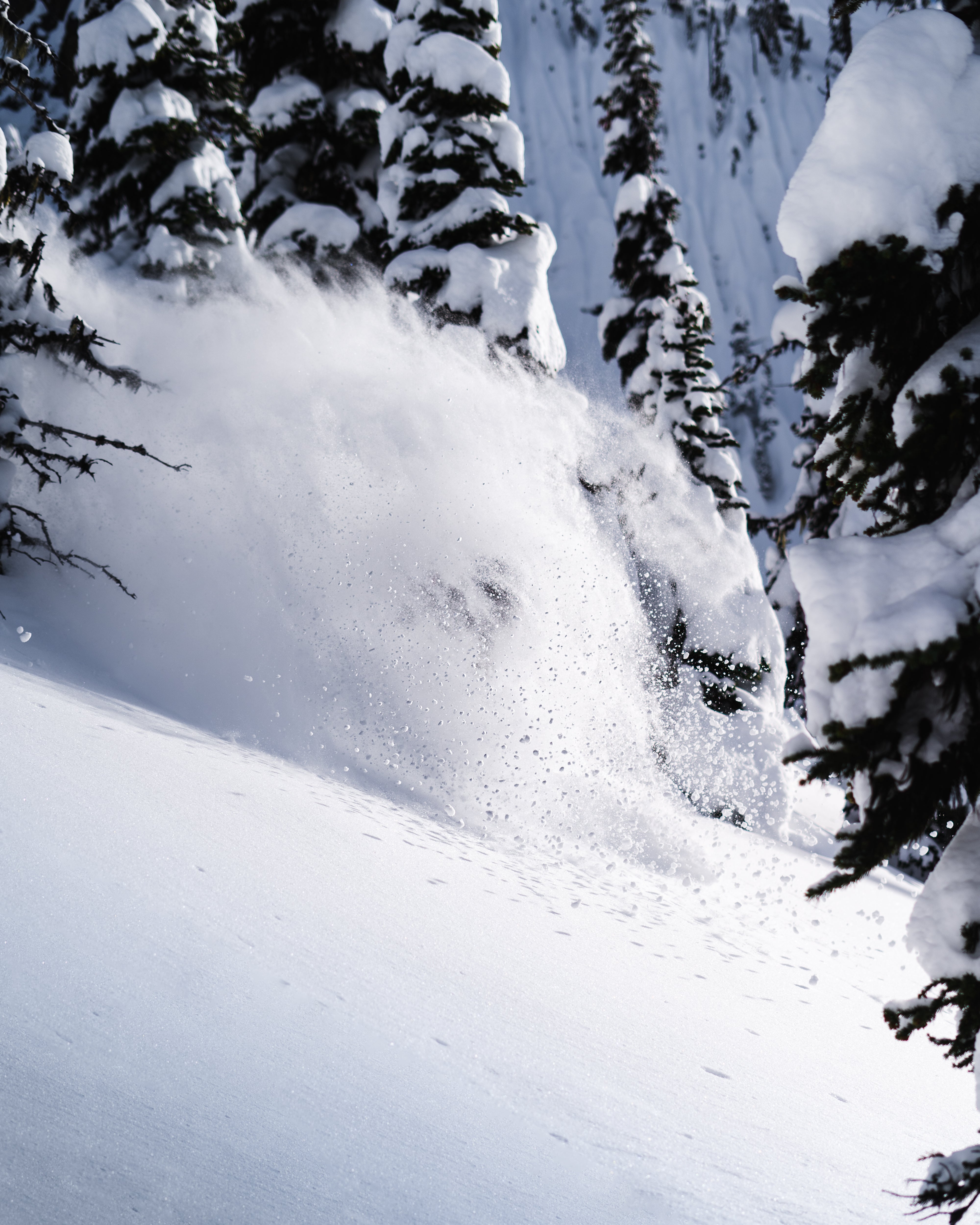 RMU Skis: Explore All Mountain, Freeride & Touring