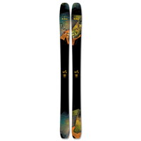Ski #3